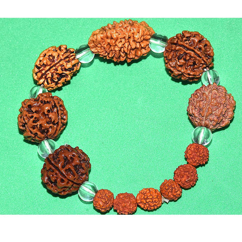 Brown Rudraksh Bracelet 2 To 7 Face Beads (Lab Tested)