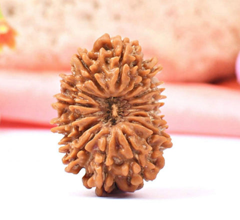 15 Faced Natural Nepali Rudraksha Beads