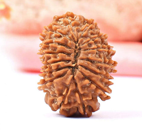 15 Faced Natural Nepali Rudraksha Beads