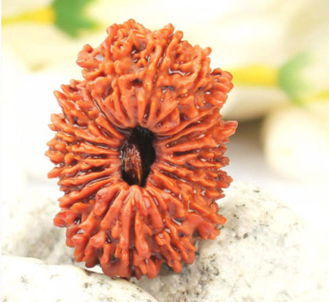 21 Faced Natural Nepali Rudraksha Beads