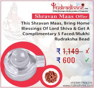 Sphatik Shivling And 5 Faced Nepali Rudraksha