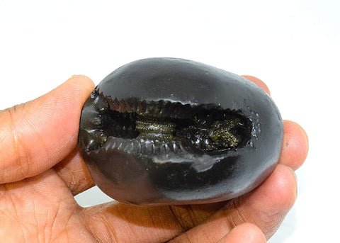 Laxmi Narayan Shaligram