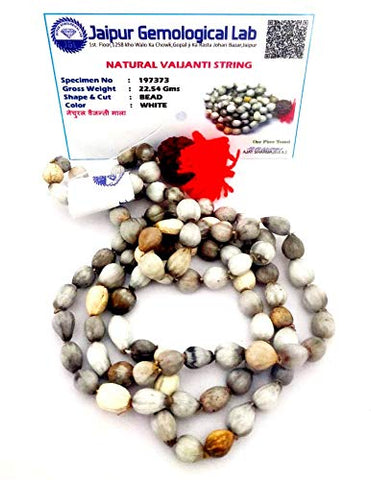 Vaijanti Mala 108+1 Beads With Lab tested