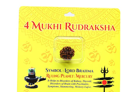 4  face / Mukhi  Nepali Rudraksha